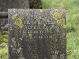 image of grave number 795279
